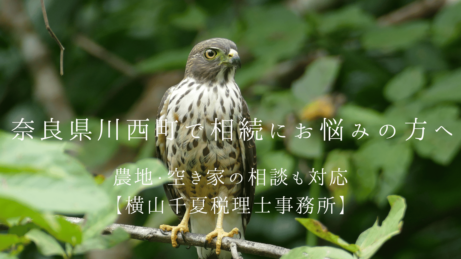 奈良県高取町で相続にお悩みの方へ|歴史ある家屋や農地の相談も女性スタッフが丁寧に対応【横山千夏税理士事務所】