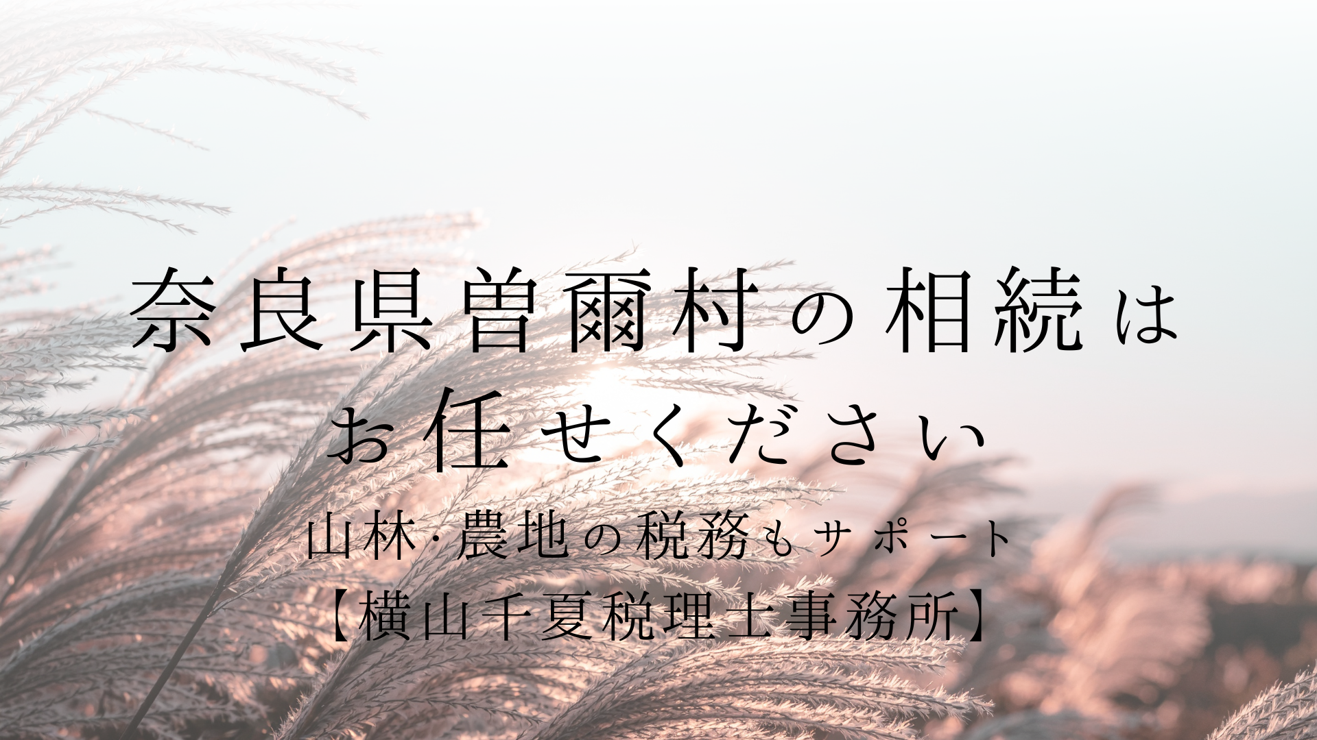 奈良県曽爾村で相続にお悩みの方へ|曽爾高原周辺の土地や空き家の税務も女性中心の事務所がサポート【横山千夏税理士事務所】